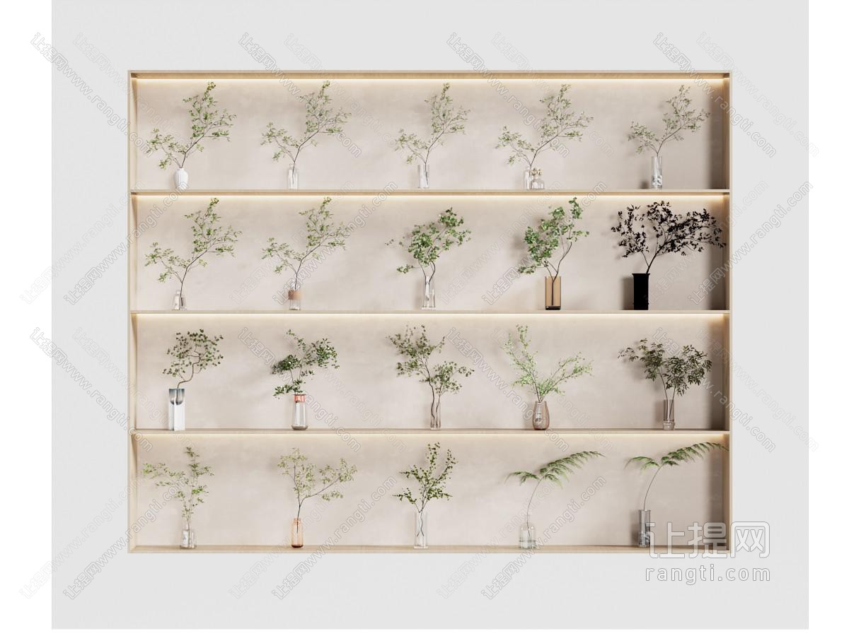 水生植物