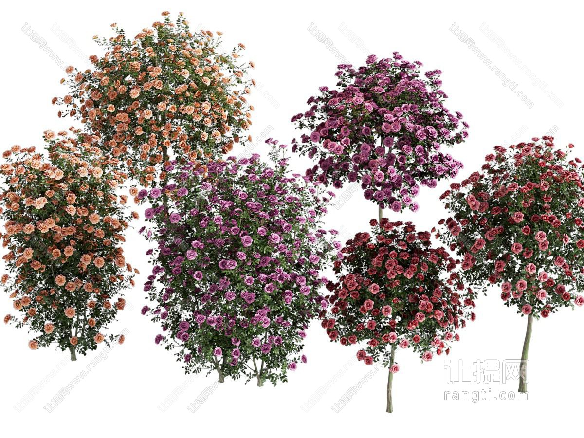 花草组合