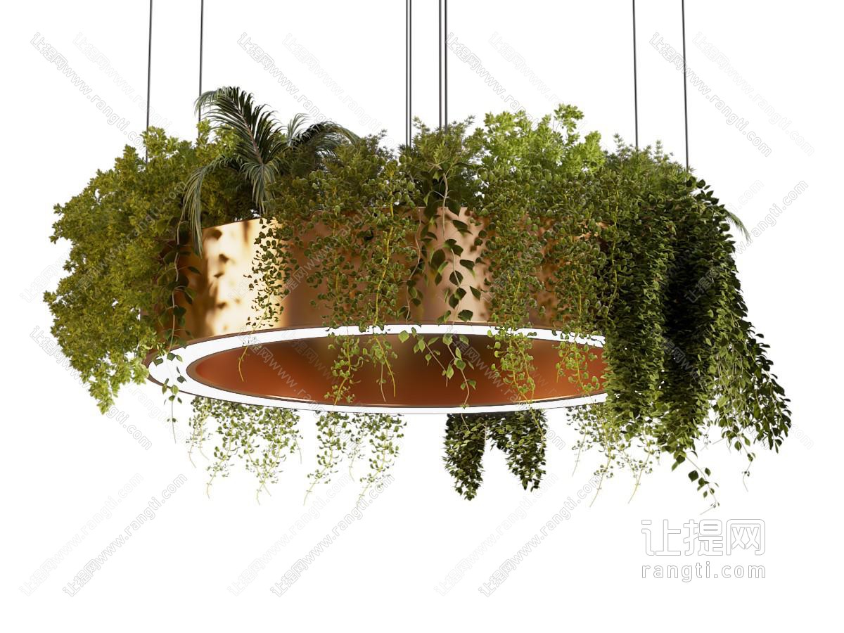 现代植物环形装饰吊灯