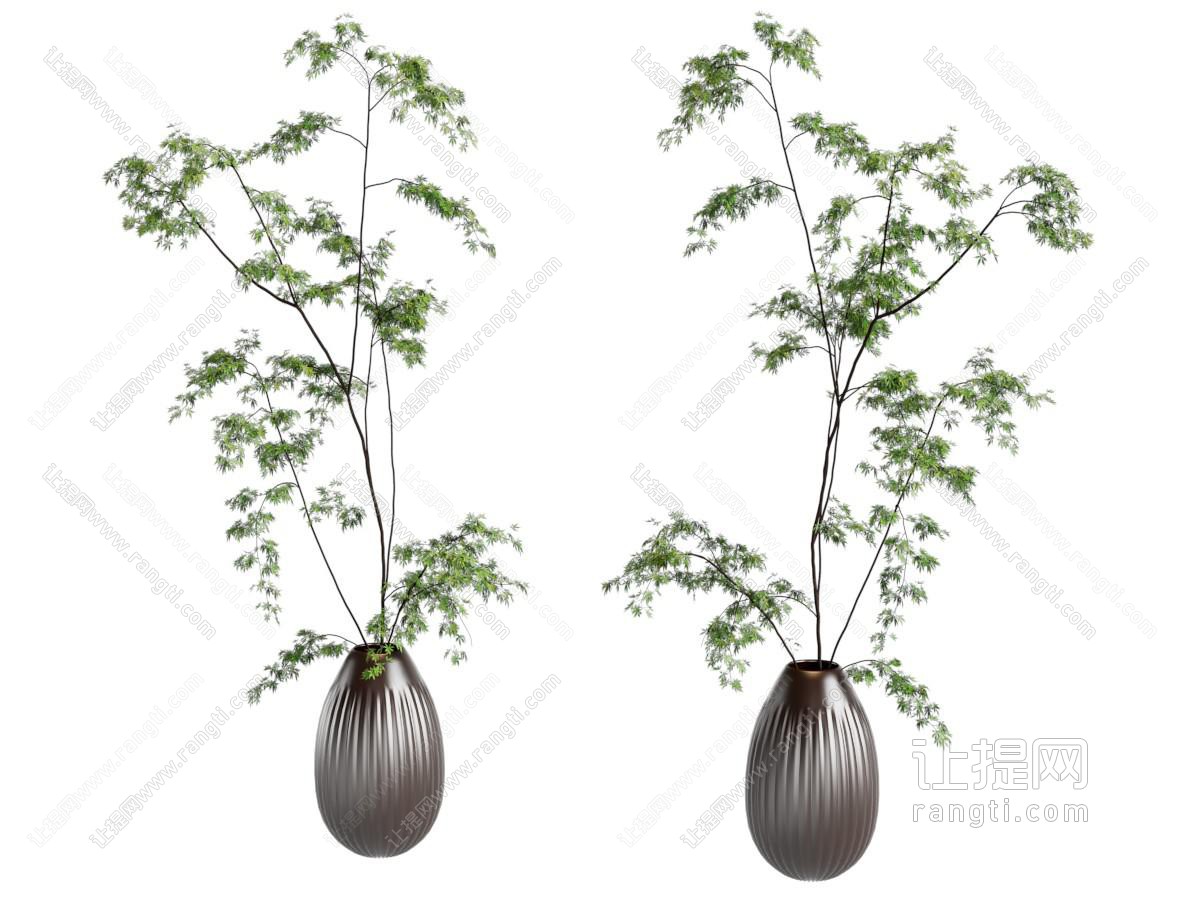 植物摆件