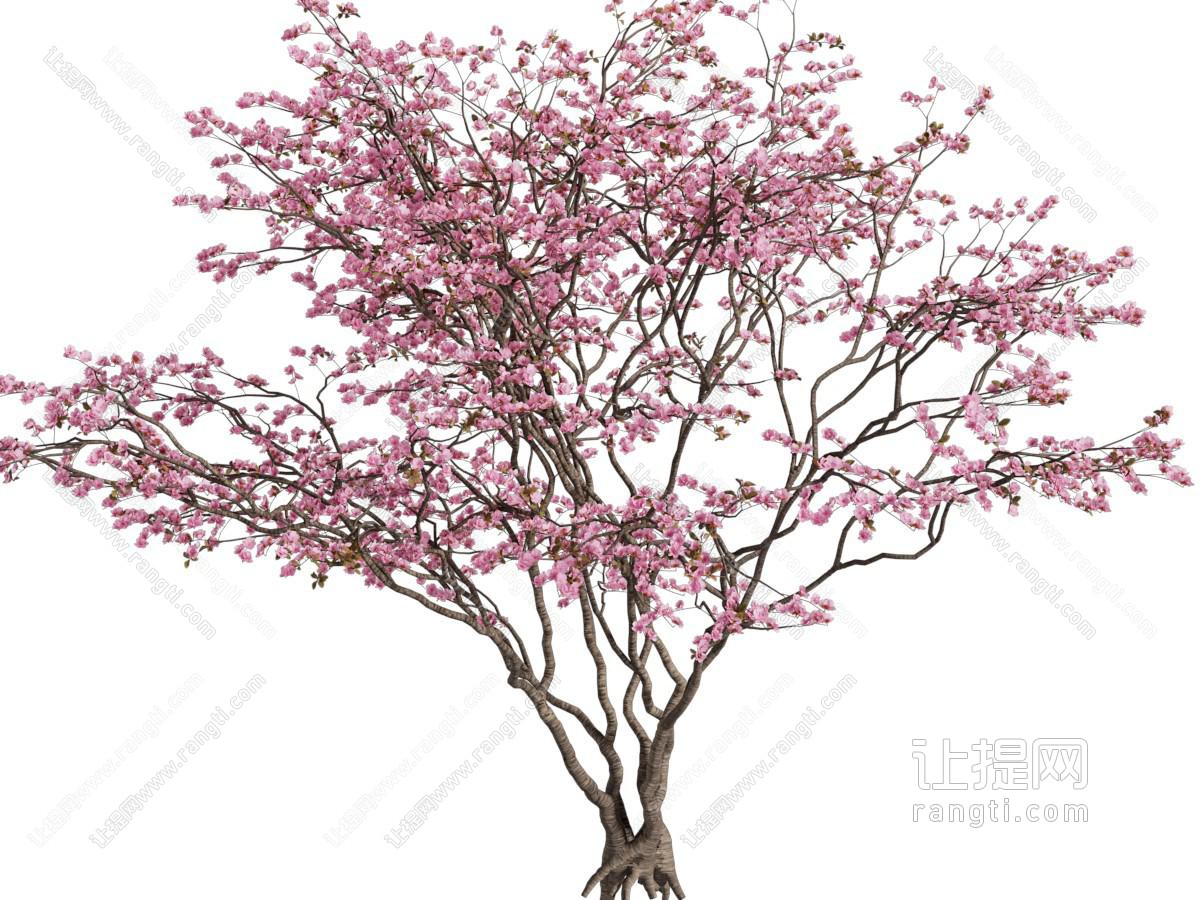现代花树模型