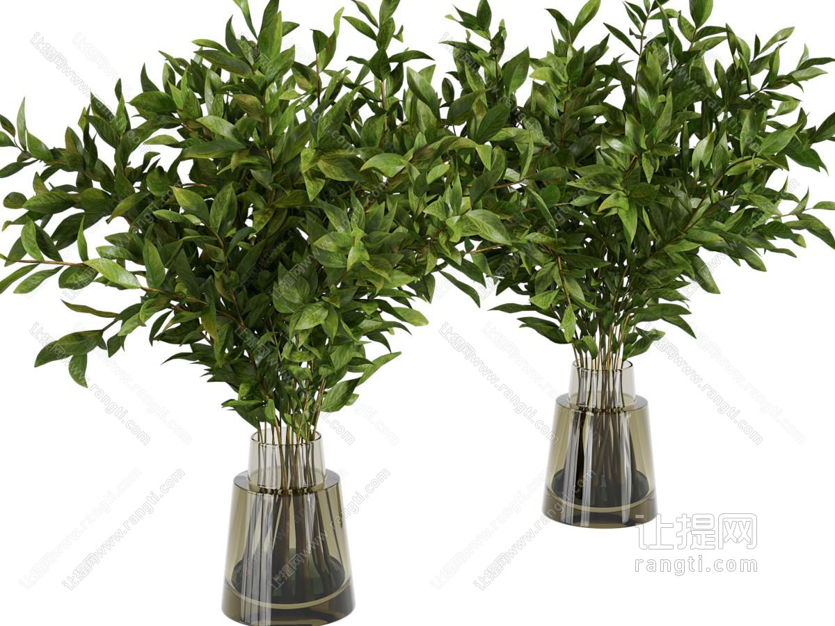 水生植物 插花 花瓶