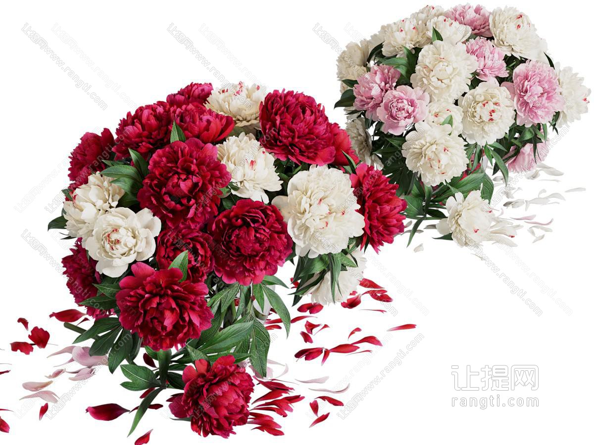 玫瑰花瓶花卉