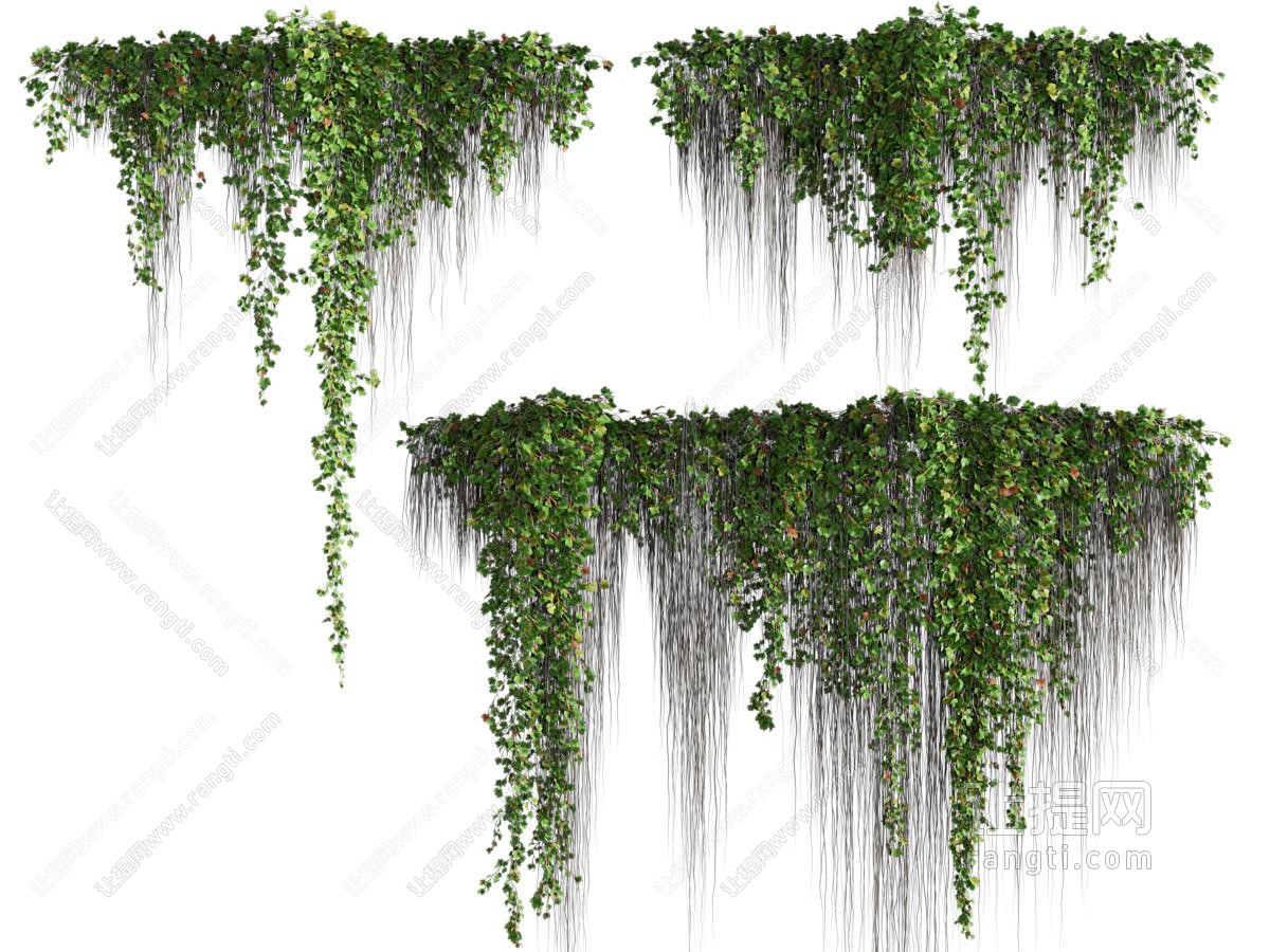 藤蔓绿植墙