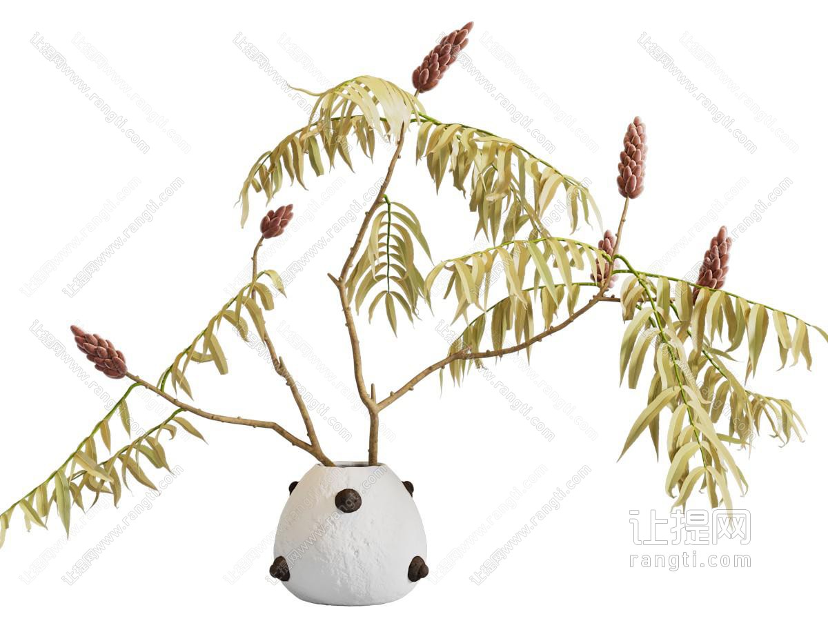 现代花瓶 现代花瓶 花艺