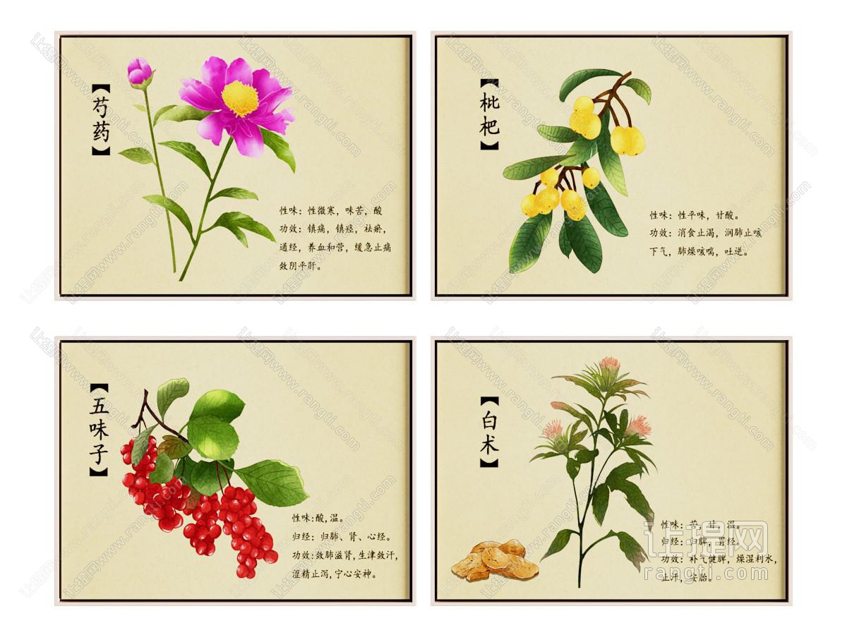 中医药材装饰画