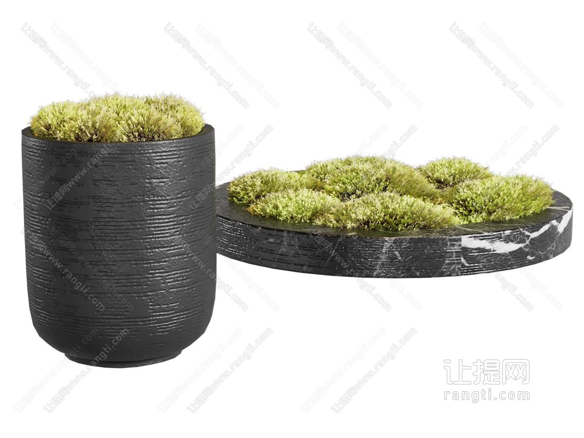 苔藓 苔藓摆件