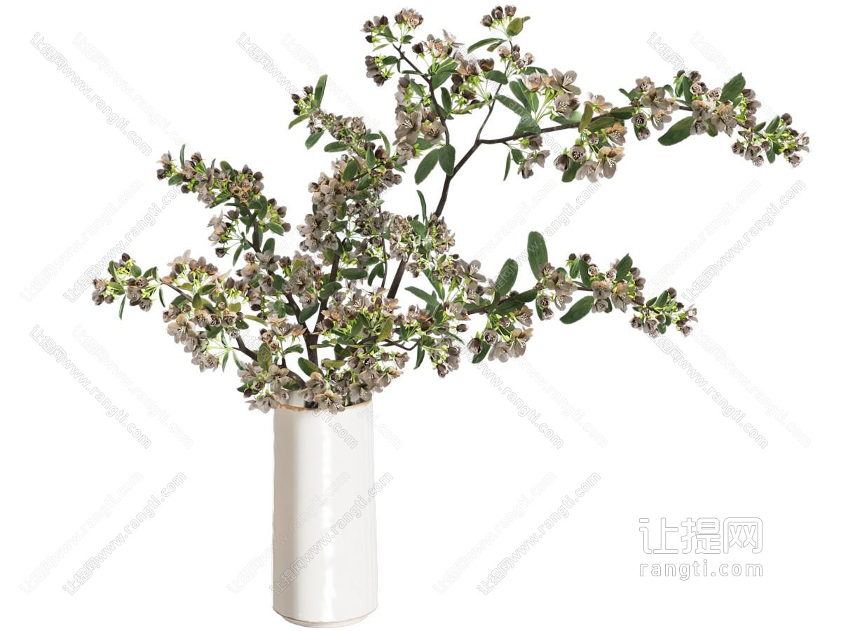 花瓶 花卉 插花 鲜花