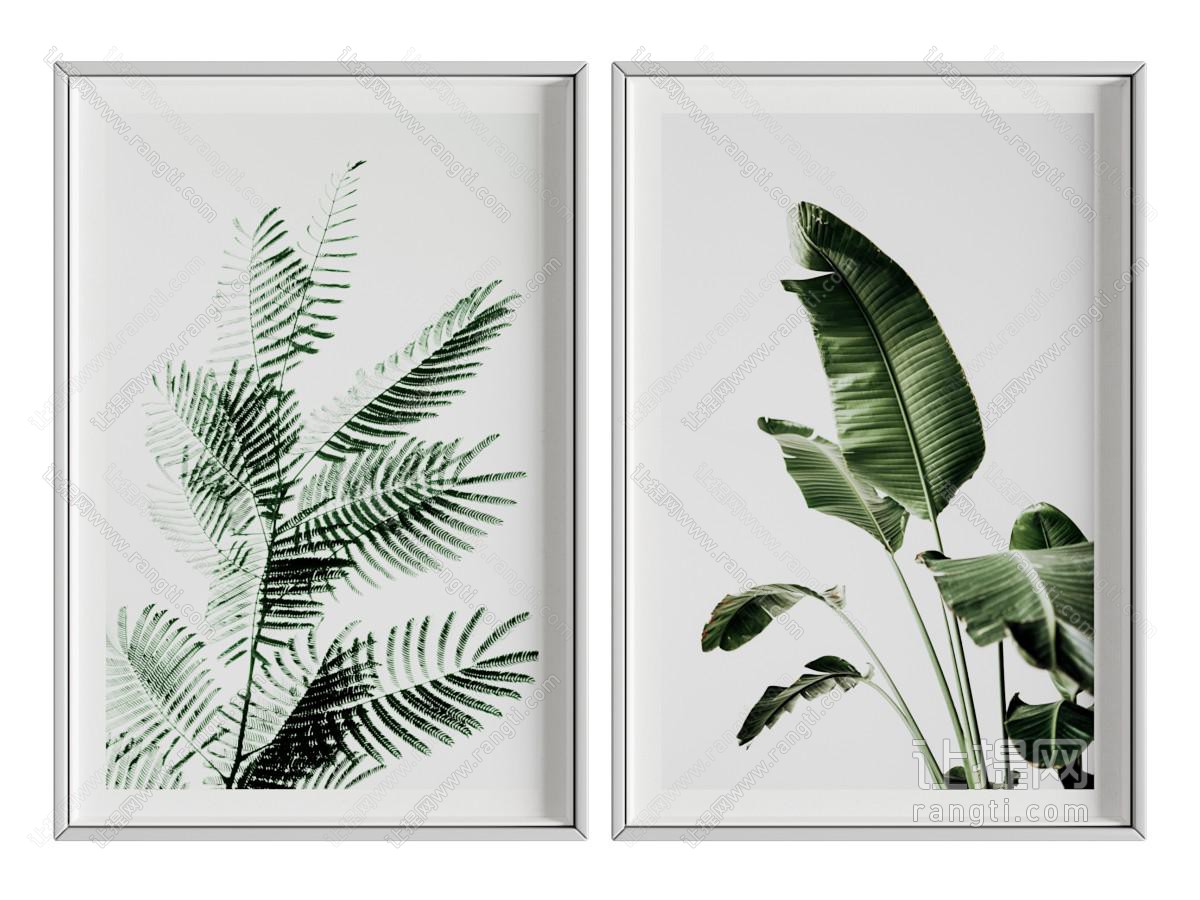 植物挂画 装饰画