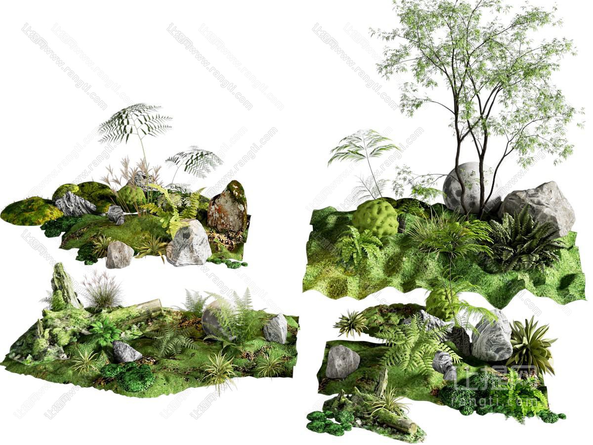 苔藓盆景 蕨类盆景