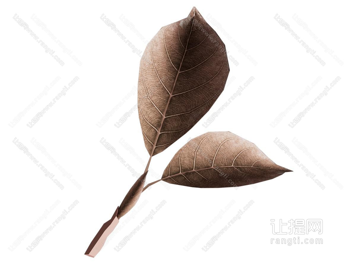 绿茶春茶茶叶 叶子
