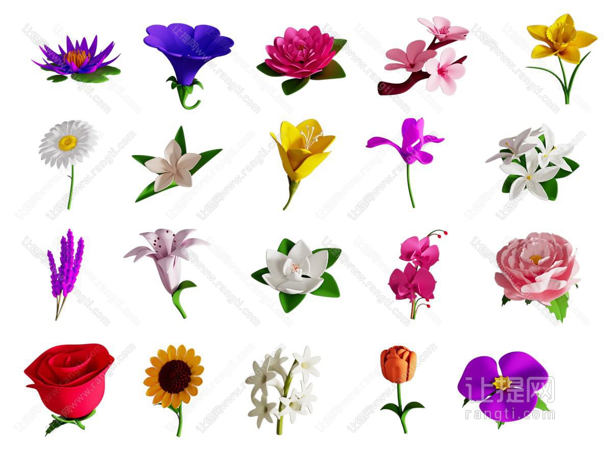 蓝莲花等花卉