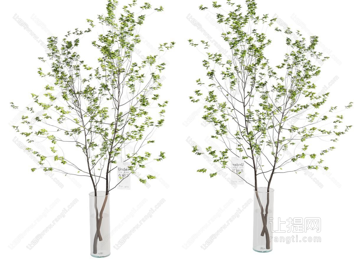 现代花瓶花卉