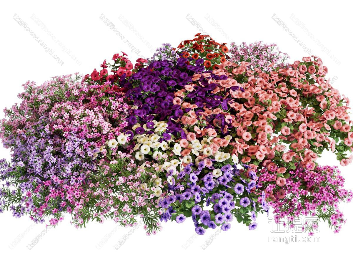 现代花草灌木自然景观