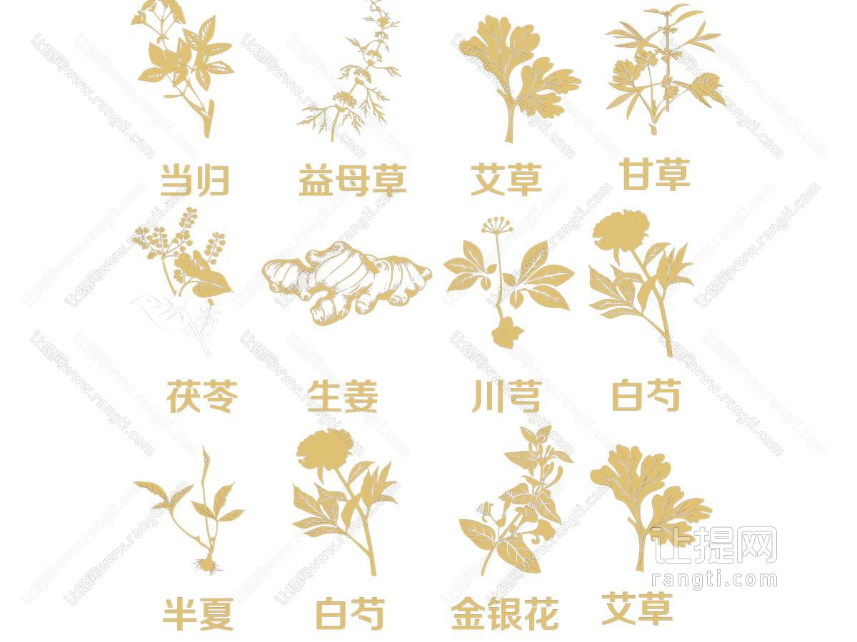 新中式中草药剪影
