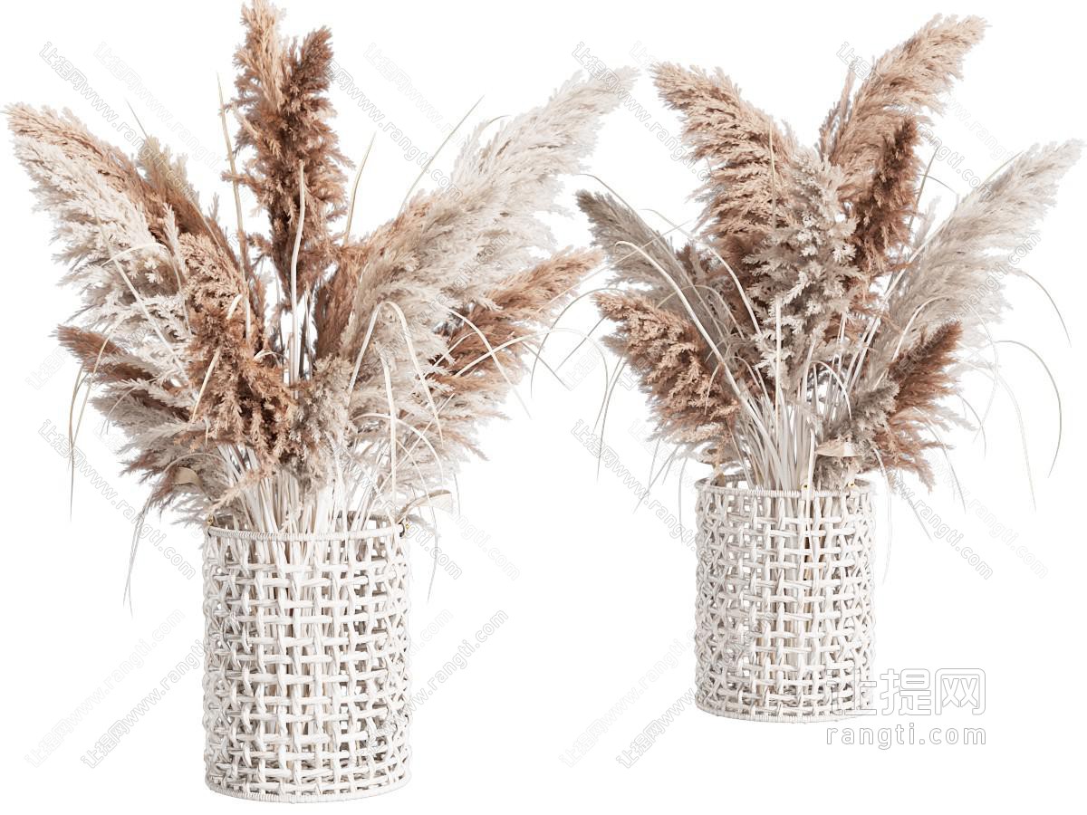 现代干花花卉摆件