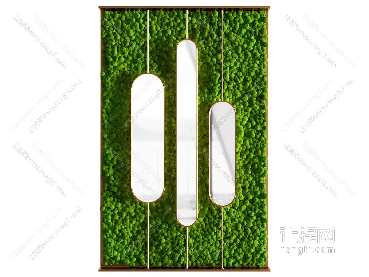 苔藓植物墙