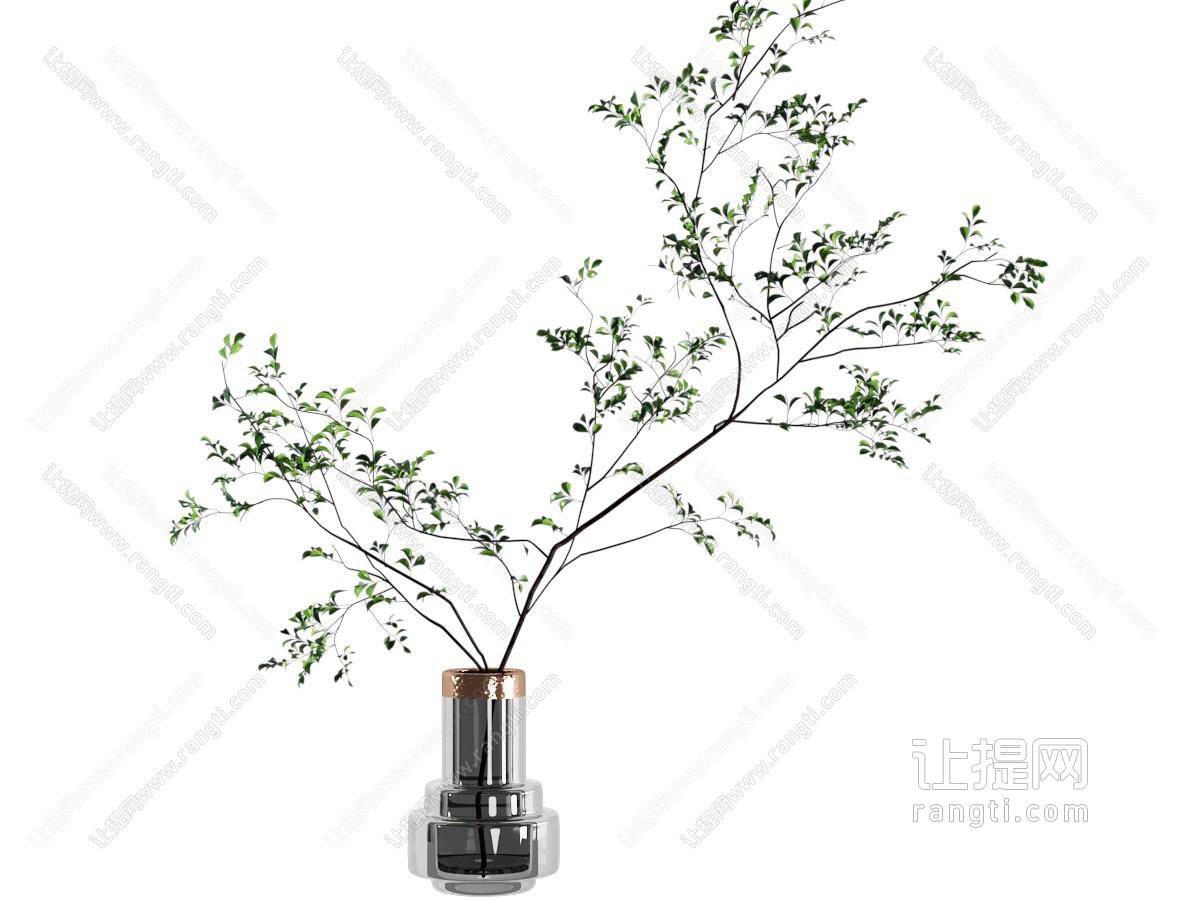 玻璃花瓶 插花 室内绿植 盆景盆栽
