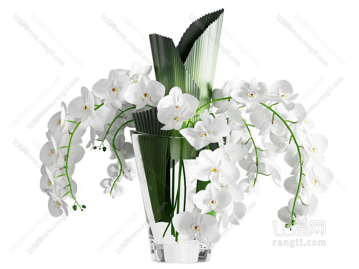 现代花瓶花卉