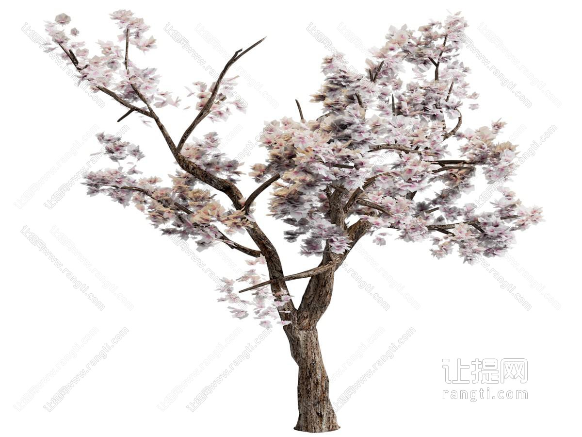 现代桃树