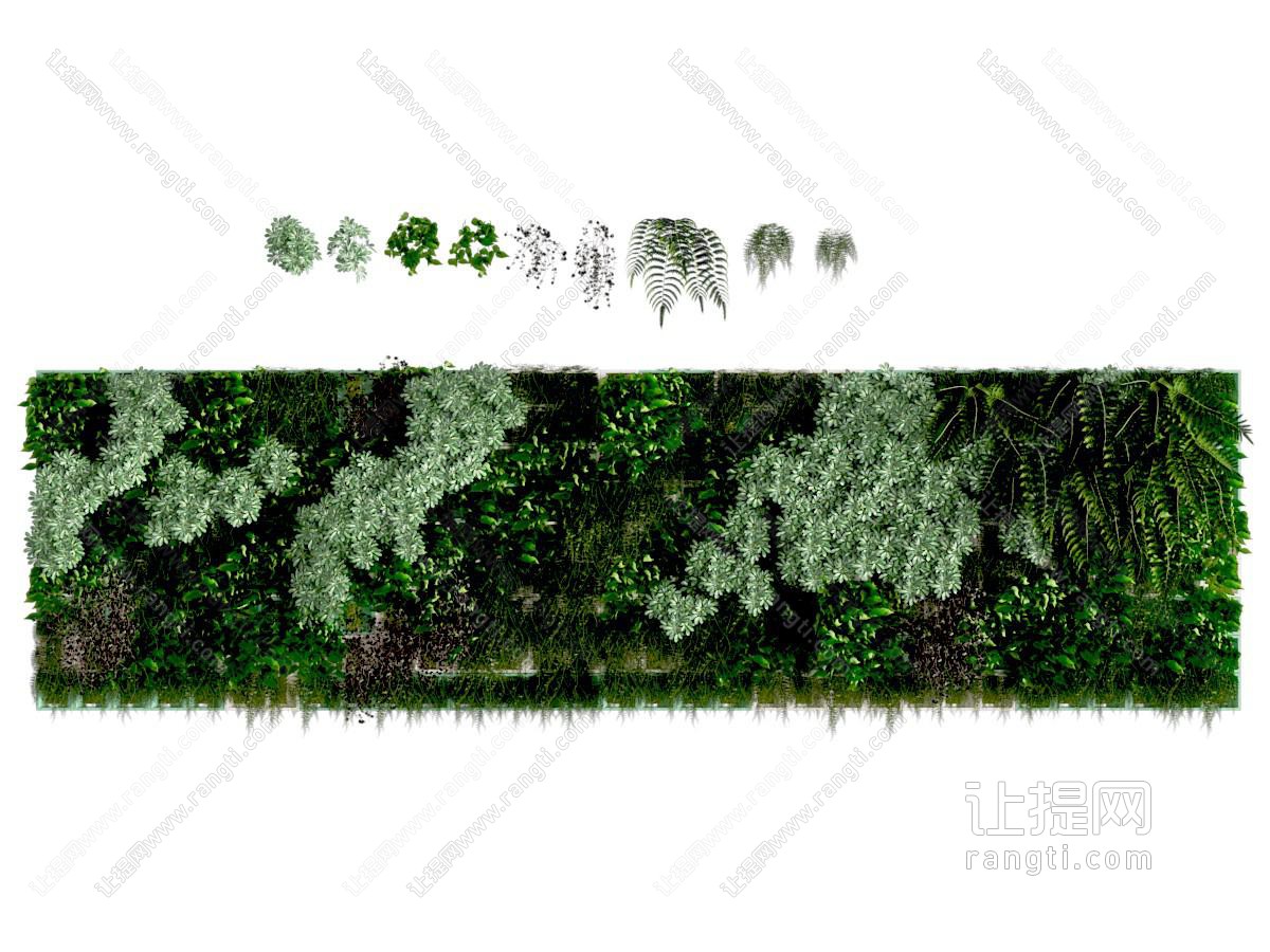 植物墙 绿植墙