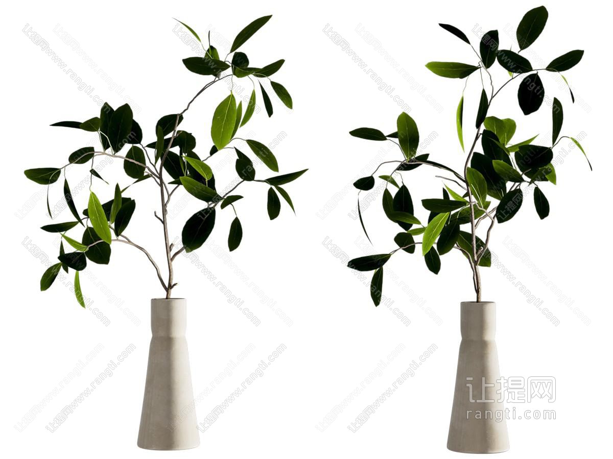 现代花艺