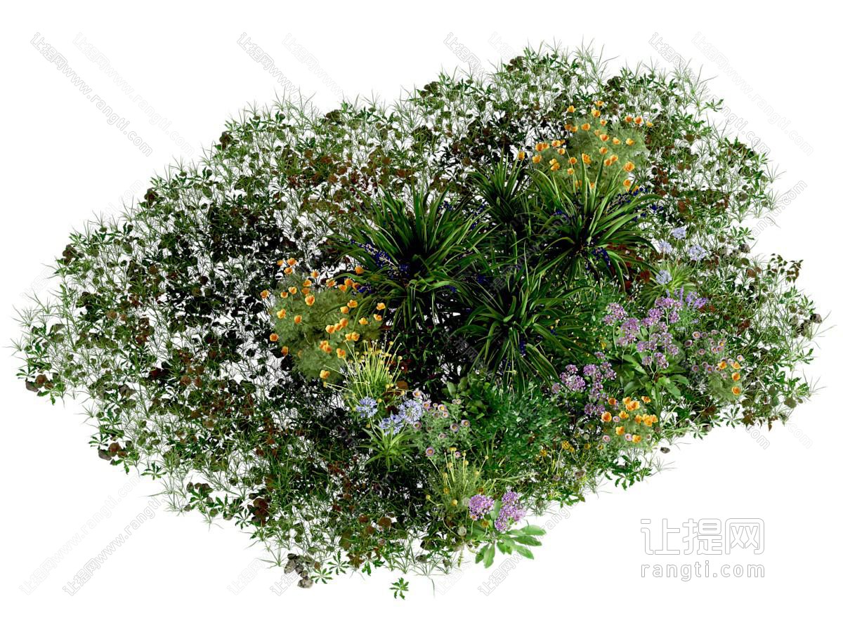 花草灌木自然景观