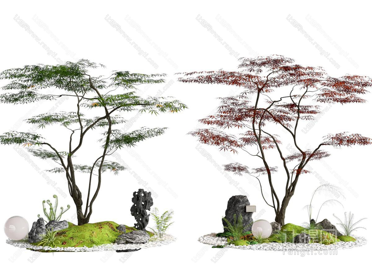 景观树 红枫景观树 鸡爪槭 庭院小品 石头 景观造景