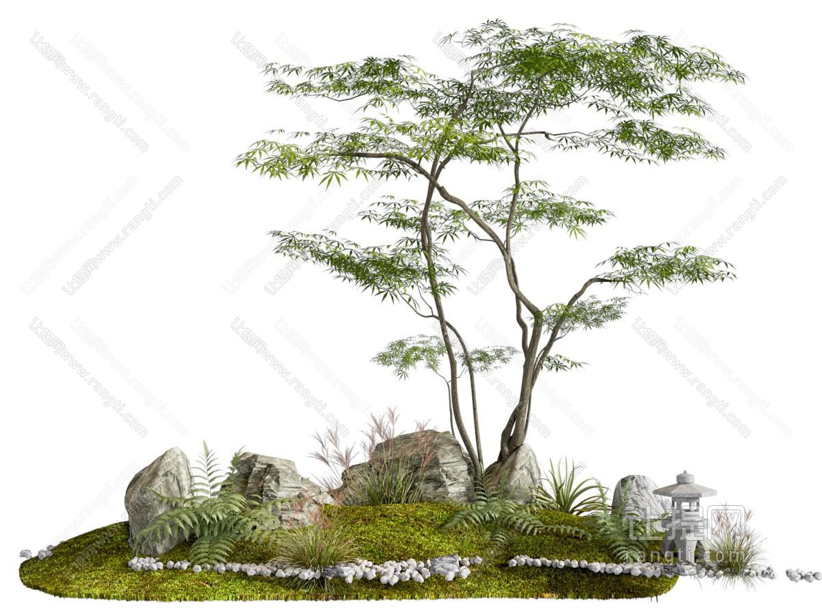 景观树 现代苔藓景观树 苔藓植物 庭院景观