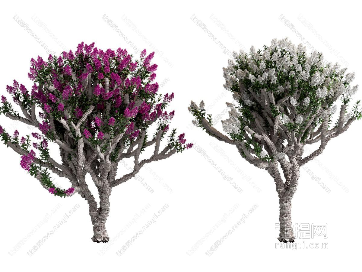 现代鲜花树
