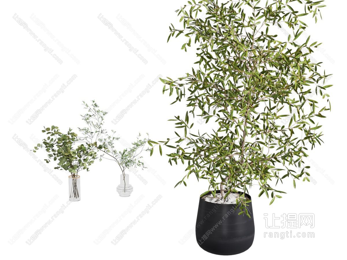 现代花草组合
