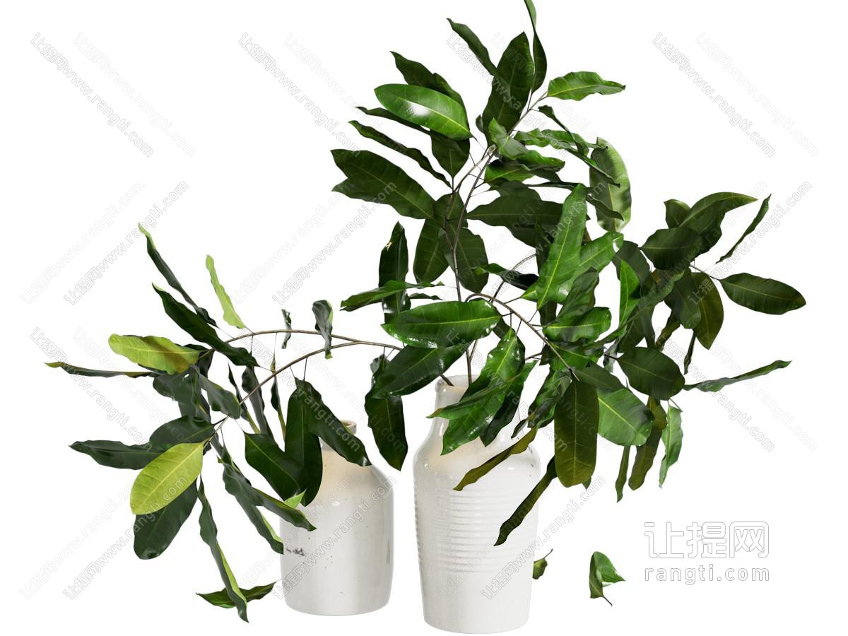 现代花瓶 盆栽