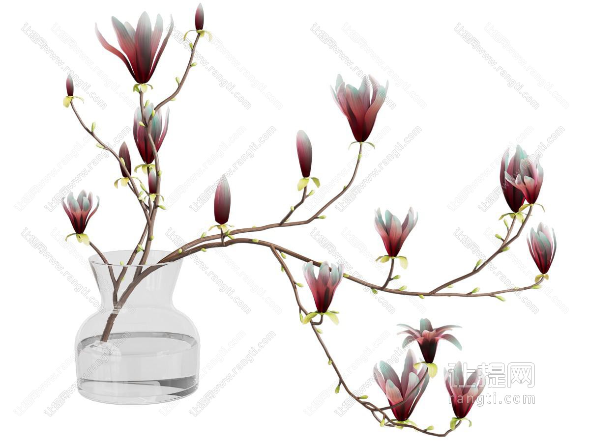 现代花瓶花卉