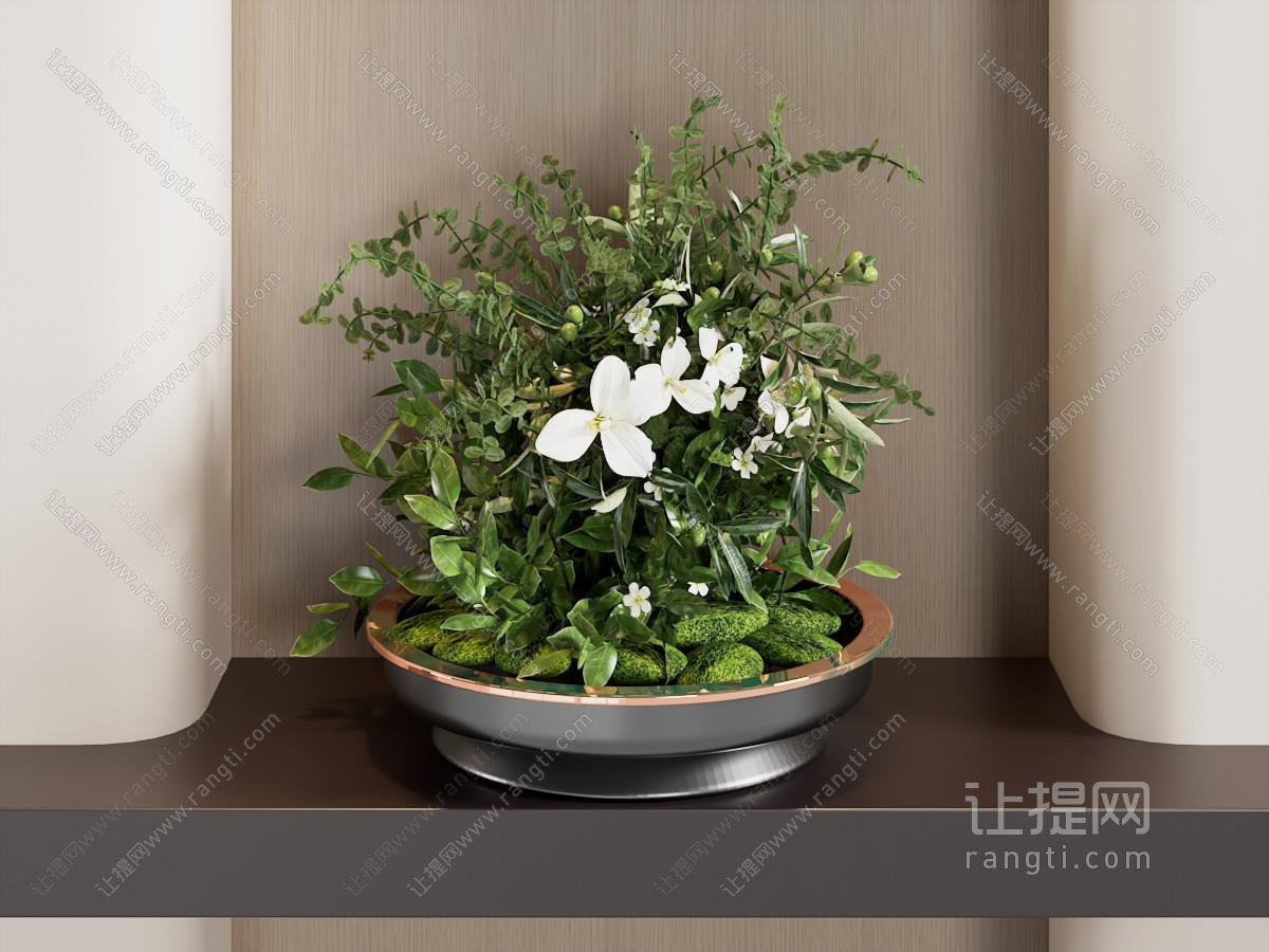花卉盆栽盆景