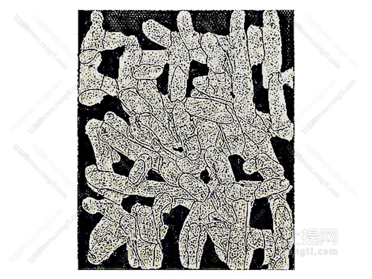 现代黑白装饰挂画