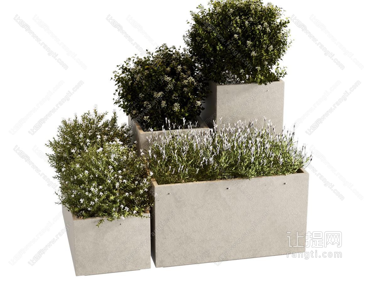 花草植物 花坛 户外植物