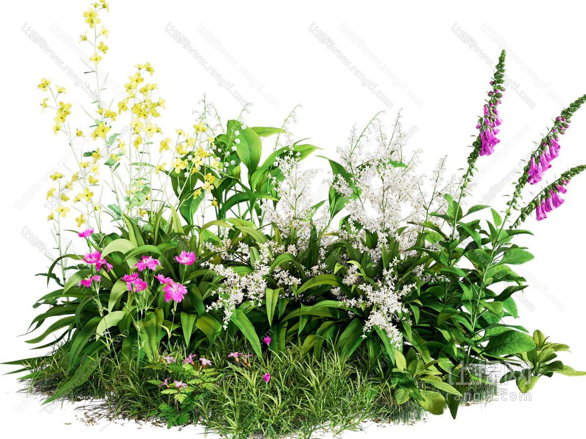 现代花草组合 景观灌木 灌木丛 植物组合 自然景观
