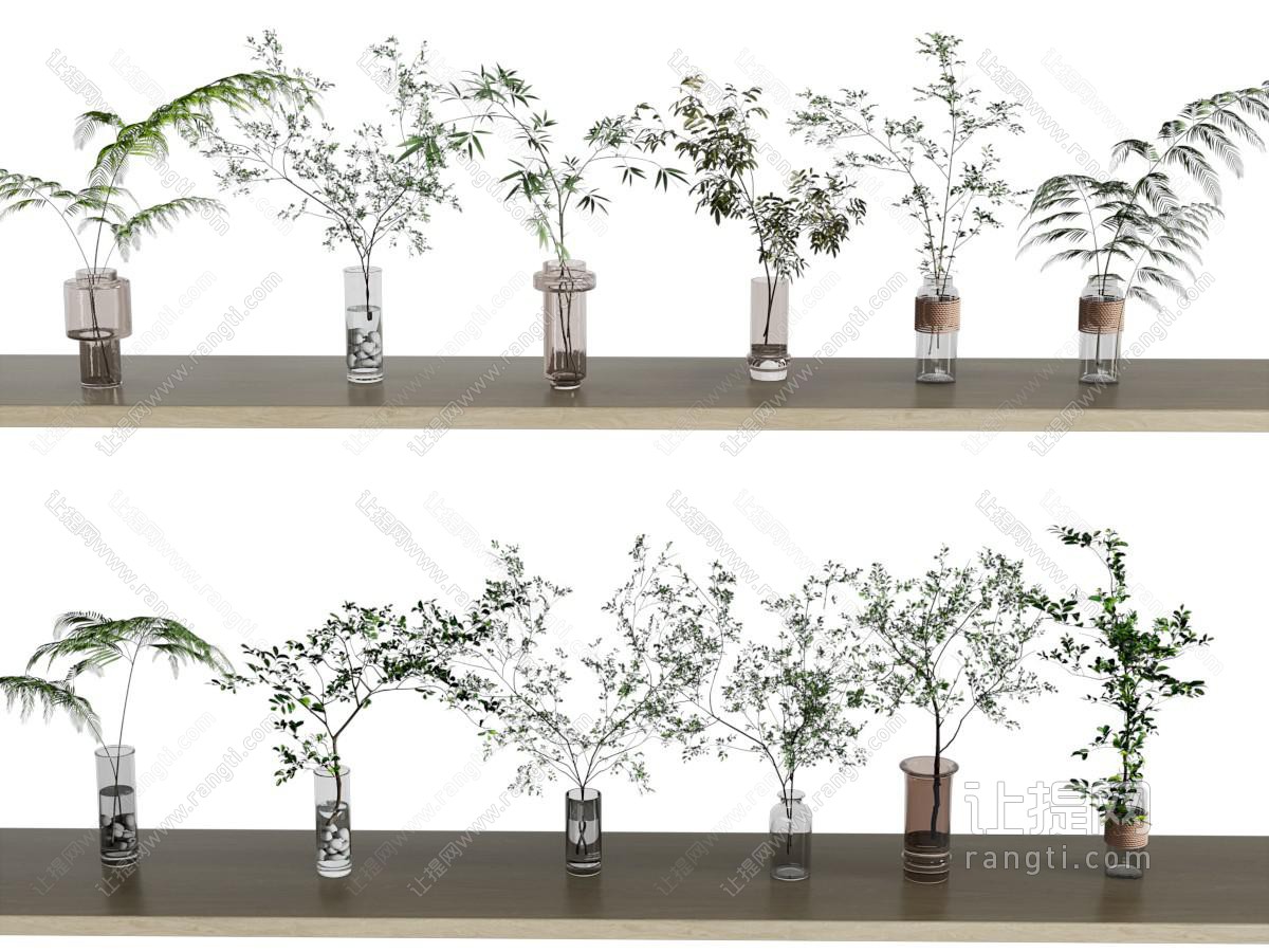 花瓶花艺 水生植物 玻璃瓶插枝条 枝条花瓶 玻璃花瓶