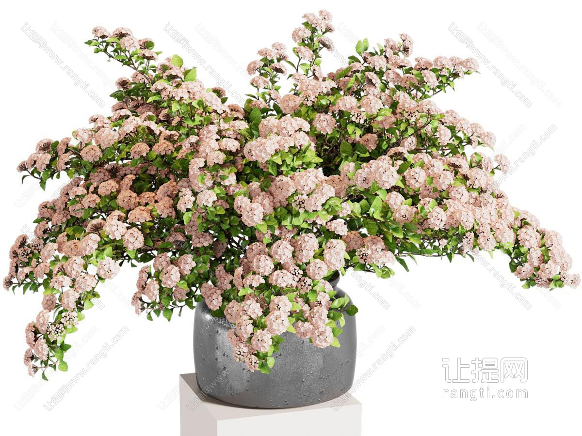 侘寂花瓶 花艺 插花 鲜花