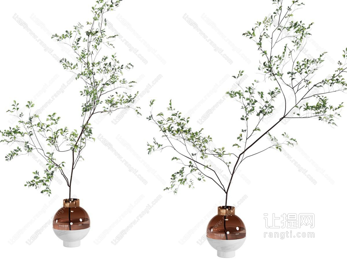 现代花瓶 绿植