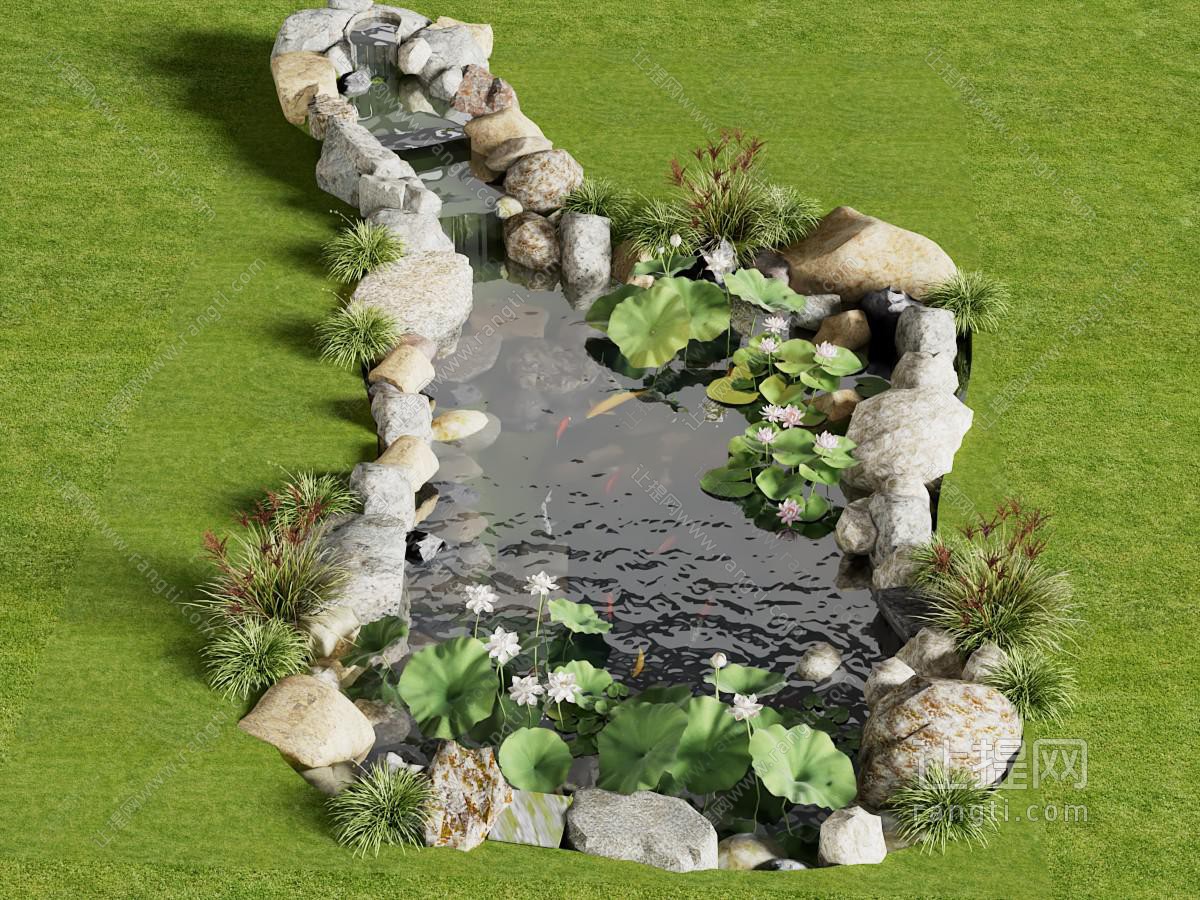 现代生态鱼池 水池鱼池 荷花池 观赏锦鲤池 水池景观 自然石块 溪流石块