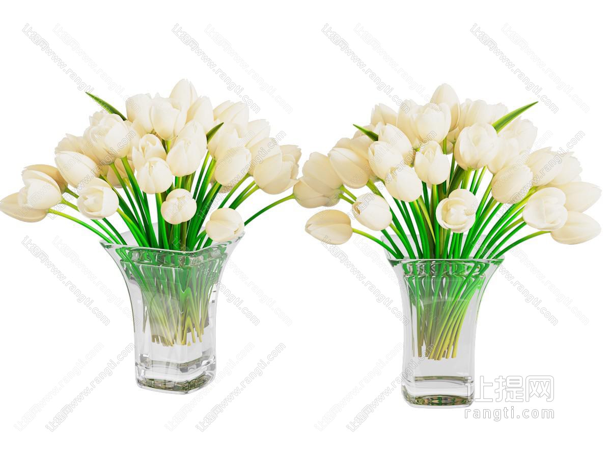 现代白色郁金香花瓶花卉